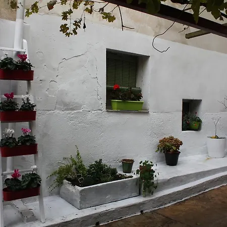 La Casa Del Arbol