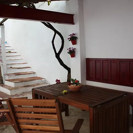 La Casa Del Arbol *